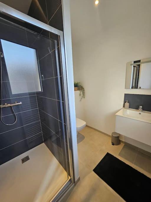 T 2 Lumineux Drome Des Collines Apartman Chateauneuf-de-Galaure Kültér fotó